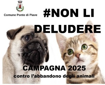 Campagna 2025